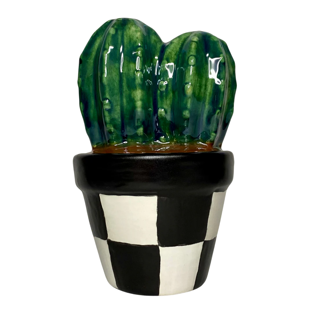 🌵 Cactus in a Pot
