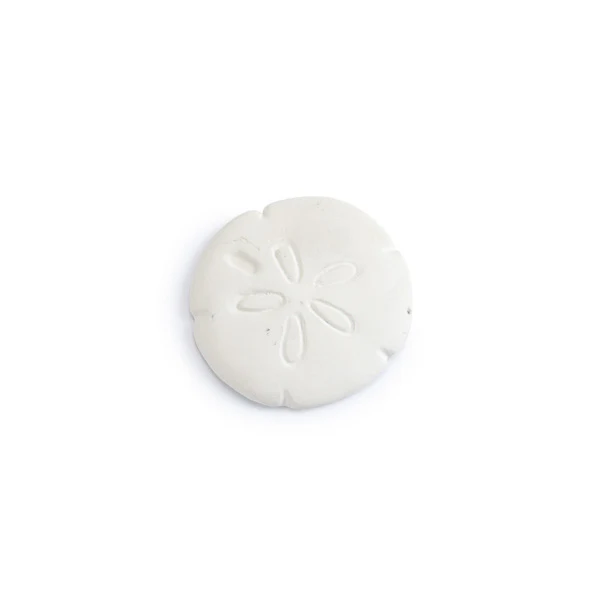 🦞 Sand Dollar Add On