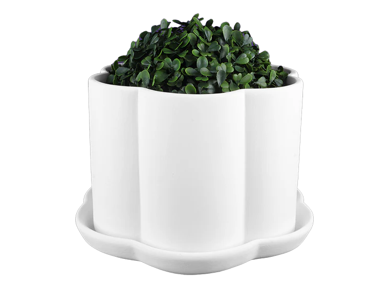 🐸 Scalloped Flower Pot w/ Saucer - Image 2