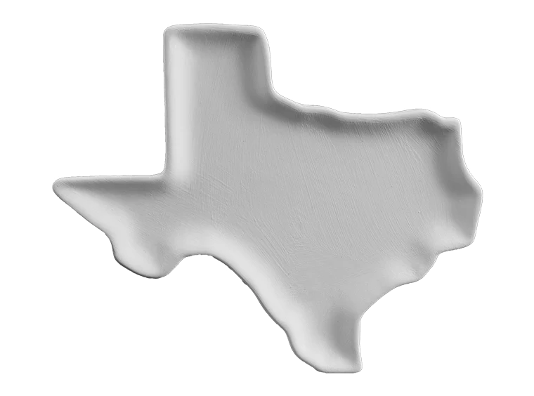 💍 Texas Dish